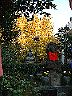 dscf0141
