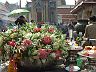 dscf0193