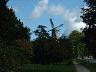 dscf0836