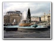 DSCF1113