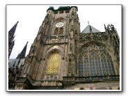 DSCF0795.JPG