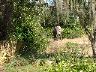 dscf0075