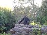 dscf0093