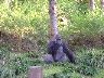 dscf0096